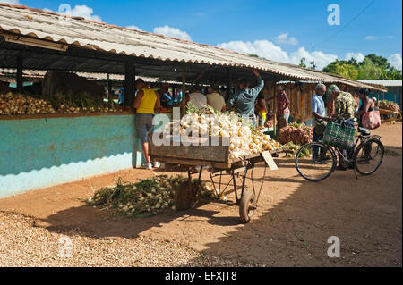 Horizontal view of the main fruit and vegetable market in Camaguey, Cuba. Stock Photo