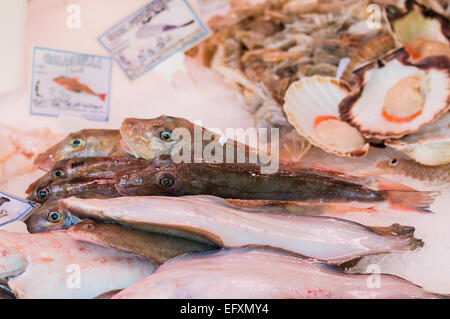 Various fish for sale at the local market Stock Photo