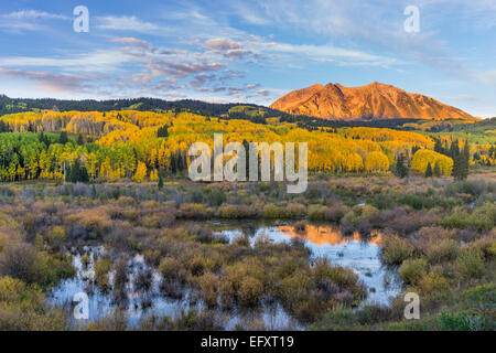 Gunnison National Forest, West Elk Mountains, CO: Sunrise light on East Beckwith Mountain, from a beaver pond near Kebler Pass