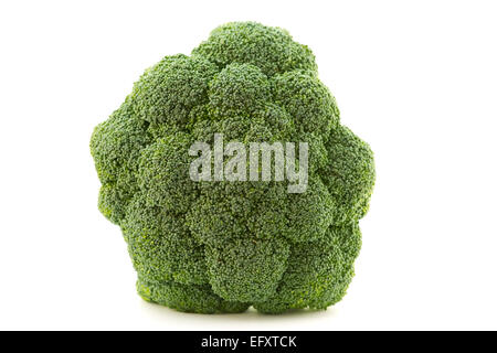 A close-up of a broccoli on white background.Broccoli is a plant in the cabbage family, whose large flower head is used as a veg Stock Photo