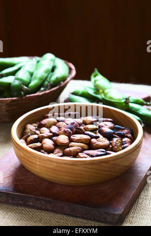 Roasted broad beans (lat. Vicia faba) eaten as snack in Bolivia in wooden bowl with fresh broad bean pods in the back Stock Photo