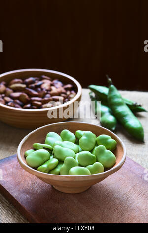 Raw broad beans (lat. Vicia faba) in bowl with pods and roasted broad beans in the back, photographed with natural light Stock Photo