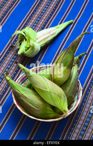 Basket of cobs of white corn called Choclo (Spanish), in English Peruvian or Cuzco corn, typically found in Peru and Bolivia Stock Photo