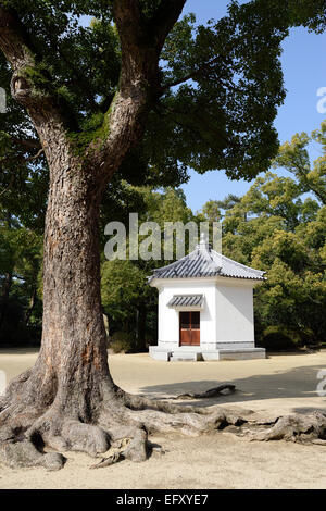 Vintage Japanese temple with camphor tree Stock Photo