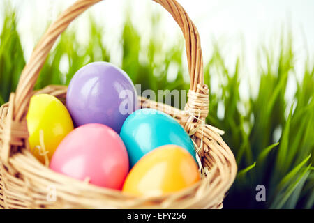 Easter eggs of various colors in basket Stock Photo