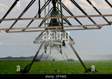 Center pivot sprinkler irrigation in eastern Idaho Stock Photo