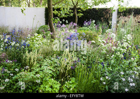 Zelkova serrata and mixed borders featuring grasses and perennials - The M & G Garden, Chelsea Flower Show 2014, Design: Cleve W Stock Photo