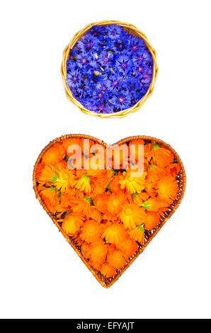 marigold calendula and cornflower medical flowers in two baskets isolated on white Stock Photo