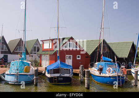 Sailing yachts on the Darß in the marina of Ahrenshoop Althagen against typical boathouses Stock Photo