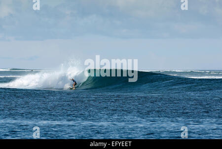 Surfing a large wave in Maluku Islands, Indonesia Stock Photo