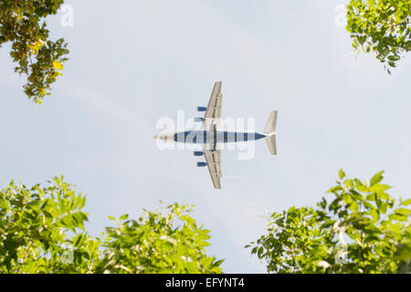 Flying airplane, blue sky and trees. Conceptual image of travel and the environment. Stock Photo