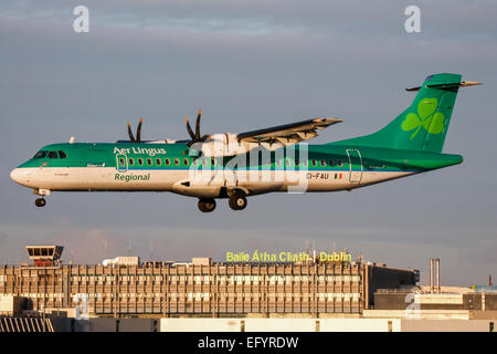 Aer lingus stobart air 2025 cabin baggage