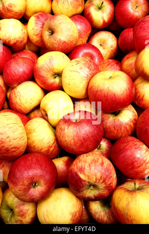 ripe red-yellow apple on a white plate against the red background Stock ...