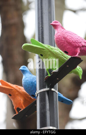 Soho Square, London, UK. 12th February 2015. Art installation curated by the Sim Smith Gallery, called 'Flock' by artist Patrick Murphy in London's Soho. Credit:  Matthew Chattle/Alamy Live News Stock Photo