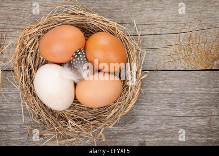Eggs nest over wooden table background Stock Photo