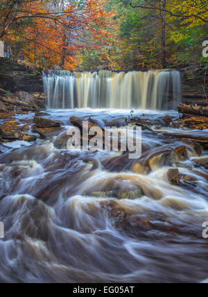 Ricketts Glen State Park, PA: Oneida Falls on Kitchen Creek in autumn Stock Photo