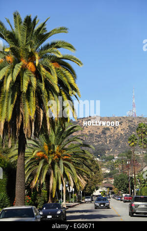 242 fotos de stock e banco de imagens de Hollywood Sign Palm Trees