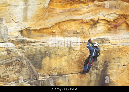 A male member of the Special Operations team, within the Ambulance Service of NSW, conducts abseiling and rappelling training. Stock Photo