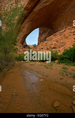 Jacob Hamblin Arch in Coyote Gulch, part of the Glen Canyon National Recreation Area in the canyon country of Utah. spring. Stock Photo