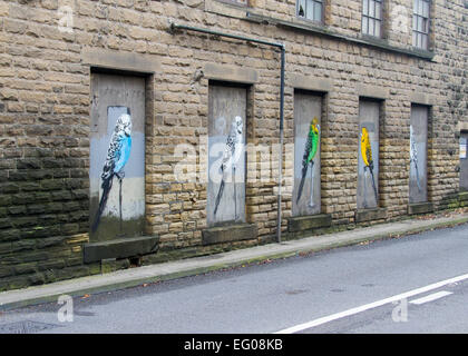 Budgie graffiti on a boarded up window Stock Photo