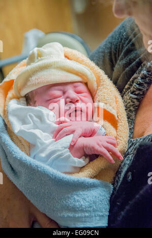 Grandmother holds new born baby grandson. Stock Photo
