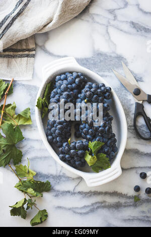 Black grapes on a marble surface Stock Photo