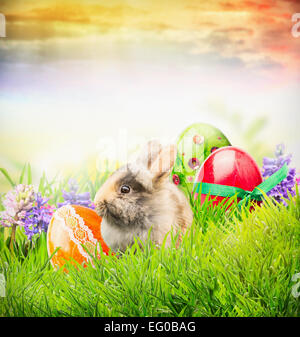 Fluffy Easter rabbit on grass with eggs and spring flowers, easter card Stock Photo