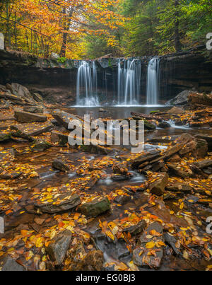 Ricketts Glen State Park, PA: Oneida Falls on Kitchen Creek in autumn Stock Photo
