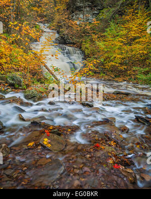 Ricketts Glen State Park, PA: Mohican Falls on Kitchen Creek in autumn Stock Photo