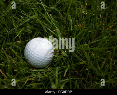 A white dimpled gold ball nestled in the long green grass in the rough during a game of golf. Stock Photo