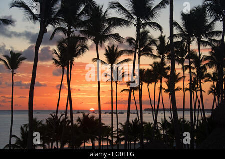 DOMINICAN REPUBLIC. Palm trees silhouetted against the dawn sky at Punta Cana beach. 2015. Stock Photo
