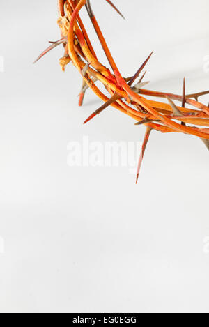 crown made of thorns isolated on white background Stock Photo