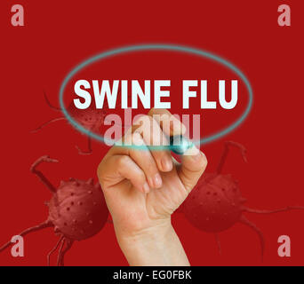 writing word SWINE FLU with marker on red background made in 2d software Stock Photo