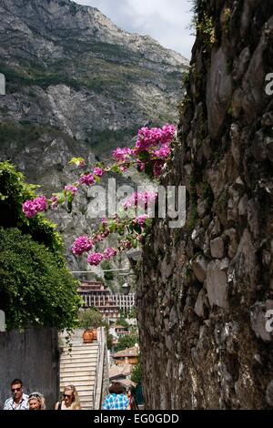 Narrow streets and historic buildings dominate the old town of Limone. Limone sul Garda is located on the western shore of Lake Garda in the province of Brescia, in Lombardy, Italy. Photo: Klaus Nowottnick Date: August 28, 2014 Stock Photo