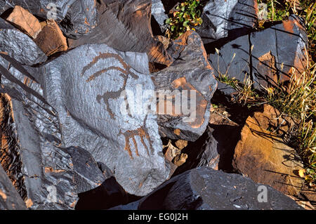 Ancient petroglyphs engraved on rock on Saimaluu Tash site in Kyrgyzstan Stock Photo