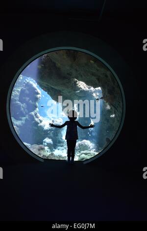 Silhouette of girl looking through through window in aquarium Stock Photo