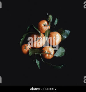 Overhead view of fresh tangerines with leaves Stock Photo