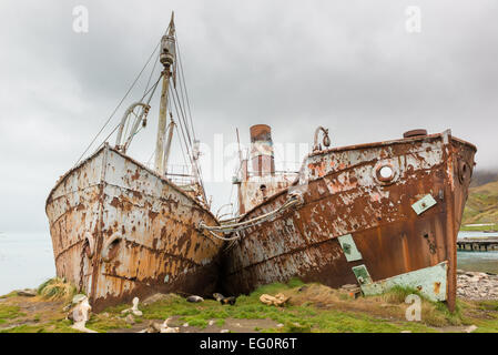 Rusting whaling vessels, grounded at Grytviken whaling station, South Georgia, Antarctica Stock Photo