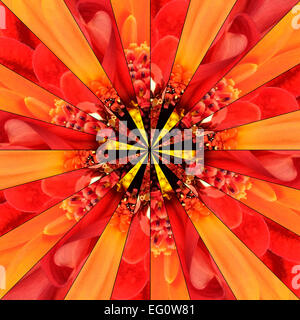 Orange Flower Center Symmetric Collage Made of Collection of Various Wildflowers. Pieces are Seamlessly Divided into 24 Symmetri Stock Photo