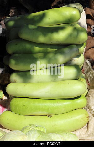 Calabash, long squash bottle gourd fruit, Asia, India Stock Photo