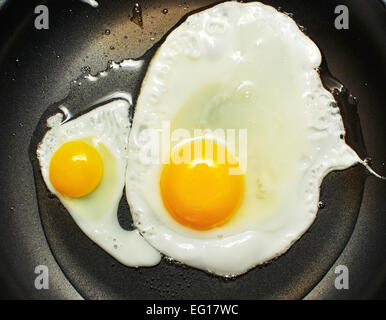 quail and hen eggs fried in black pan Stock Photo