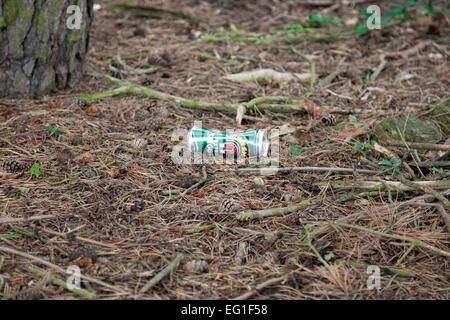 Beer can thrown away in woodland - somebody else's problem Stock Photo