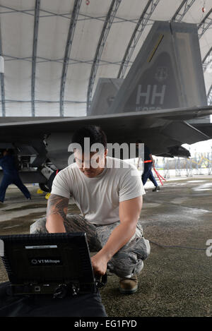 A U.S. Air Force avionics technician from the 18th Component ...