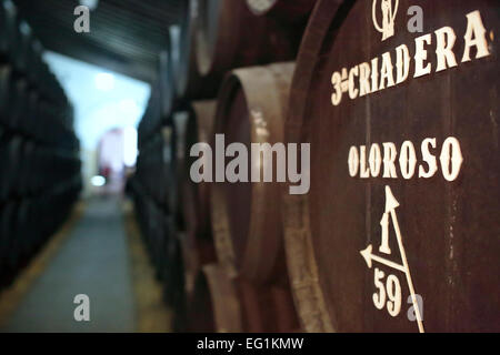 Barrels with sherry at bodega, Jerez de la Frontera, Andalusia, Spain Stock Photo