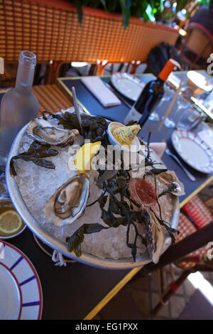 Oysters and ice on the table of a French bistro Stock Photo