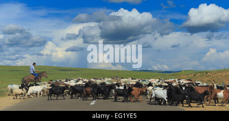 Road from Tsetserleg to Kharakhorin, Mongolia Stock Photo