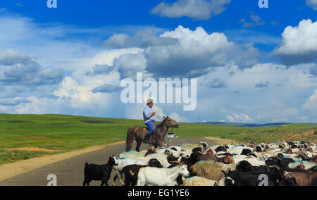 Road from Tsetserleg to Kharakhorin, Mongolia Stock Photo