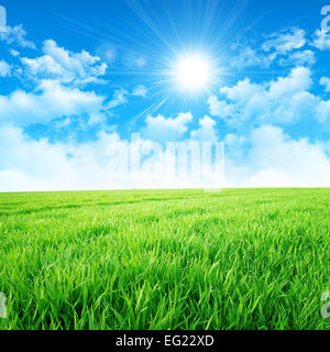 Intense sun breaking through the clouds upon a green grass field Stock Photo