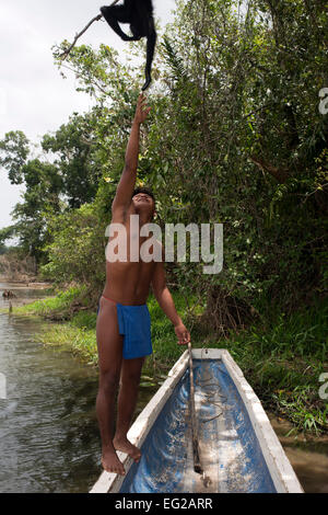 Spider monkey at Villagers of the Native Indian Embera Tribe, Embera Village, Panama. Panama Embera people Indian Village Indige Stock Photo