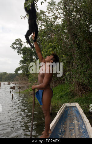 Spider monkey at Villagers of the Native Indian Embera Tribe, Embera Village, Panama. Panama Embera people Indian Village Indige Stock Photo